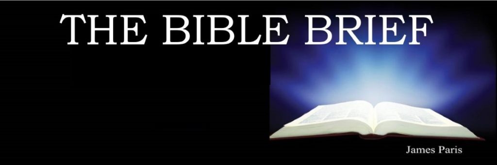 THE BIBLE BRIEF HEADER
