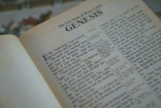 summary of the book of genesis